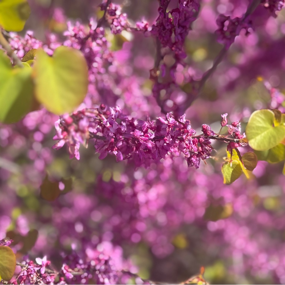 Meet your Posher, Kloudy65.